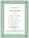 Nr. 7: Adagio aus der Sonate für Arpezzione